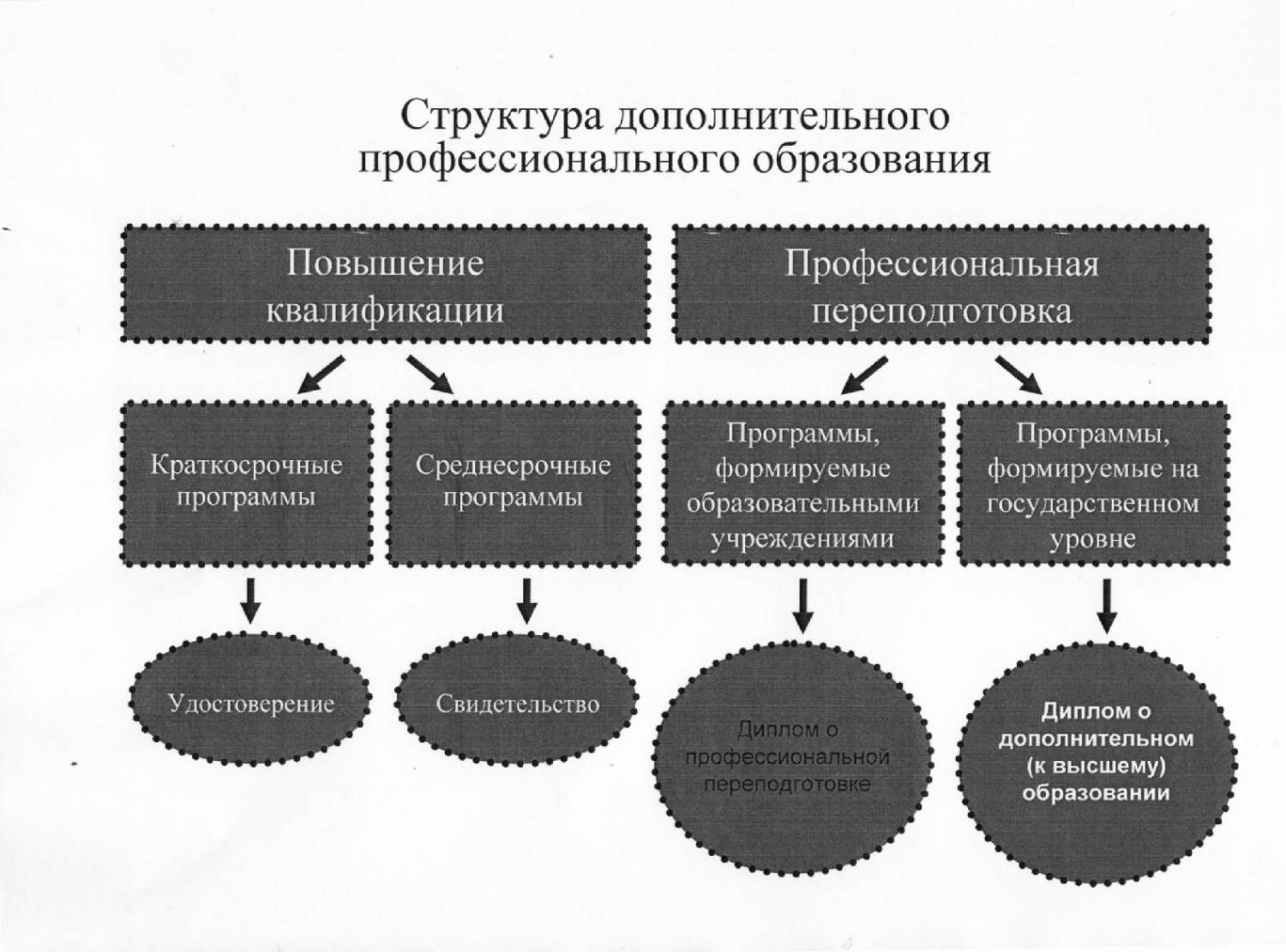 Автономная организация дополнительного образования. Структура дополнительного профессионального образования. Структура программ ДПО. Структура программы профессионального обучения. Дополнительное профессиональное образование схема.