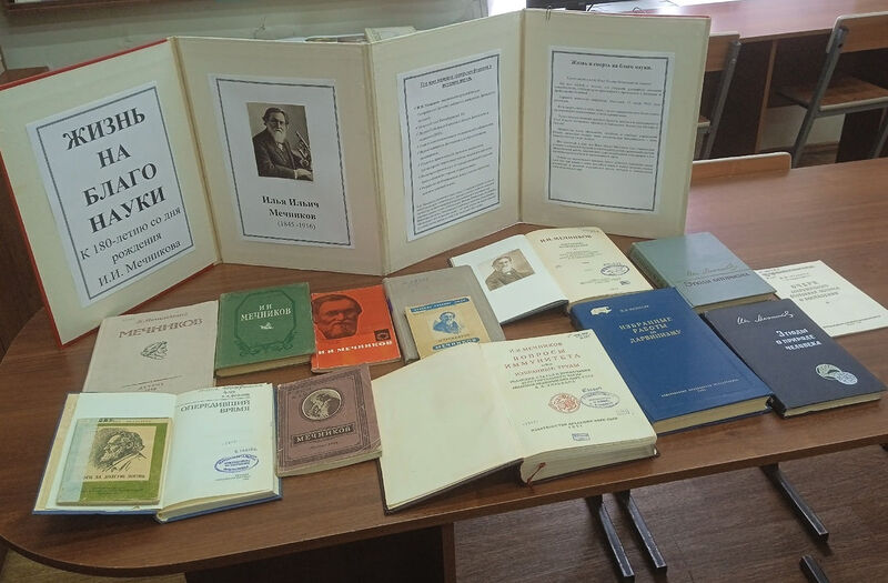 Файл:Выставка 1 Мечников 2025.jpg