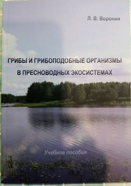Файл:Voron2.jpg